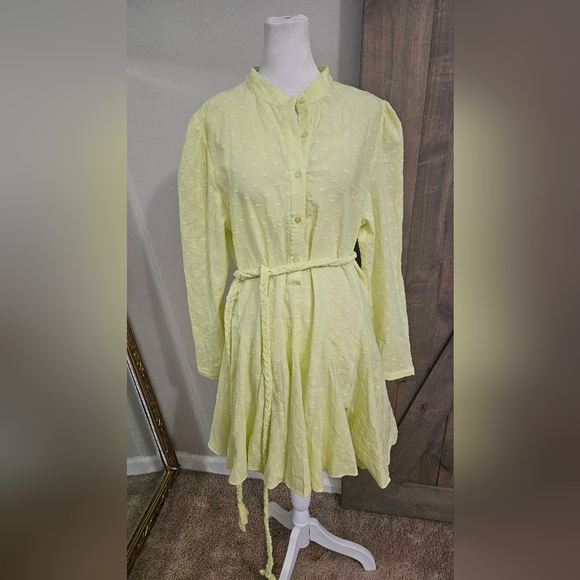 THE SHIRT by ROCHELLE BEHRENS The Jenica Dress In Yellow. Size L NWT - Picture 11 of 16